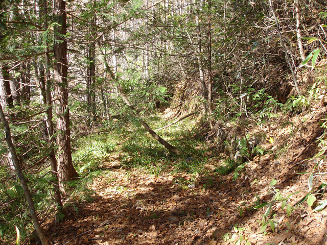 �����X�ѓS��,�ѓS,�p����,����,�ؑ]�X