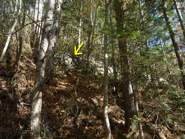 �����X�ѓS��,�ѓS,�p����,����,�ؑ]�X,�Ί_