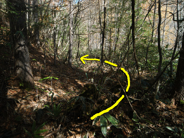 �����X�ѓS��,�ѓS,�p����,�M�m�� ,�w�A�s���J�[�u