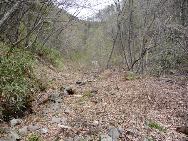 �����X�ѓS��,�ѓS,�p����,�M�m�� ,���h����