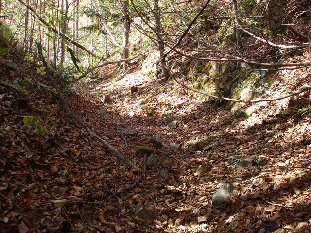 �����X�ѓS��,�ѓS,�p����,�M�m�� ,�w�A�s���J�[�u