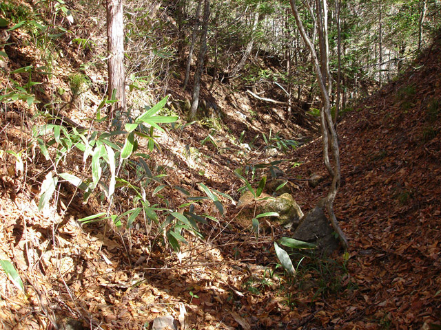 �����X�ѓS��,�ѓS,�p����,�M�m�� ,�w�A�s���J�[�u