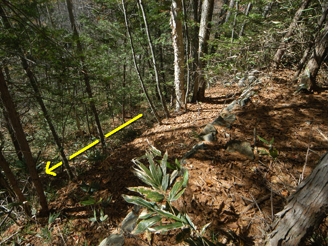 �����X�ѓS��,�ѓS,�p����,����,�ؑ]�X