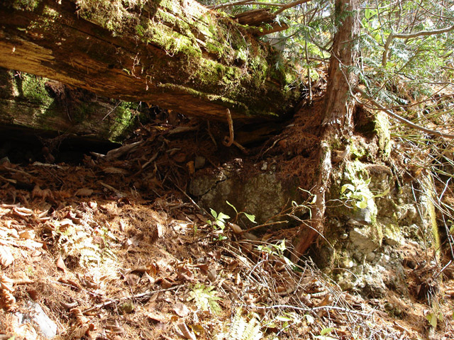 �����X�ѓS��,�ѓS,�p����,�V��,�؋�,����