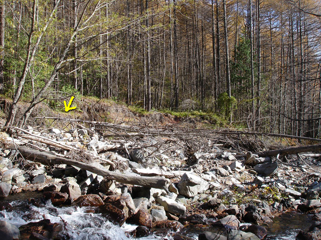 �����X�ѓS��,�ѓS,�p����,���T�r��,�����c�я�,�O����,�H�՗���