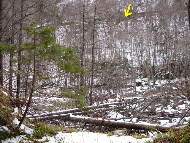 �����X�ѓS��,�ѓS,�p����,���T�r��,�����c�я�,�O����,�����ѓ�