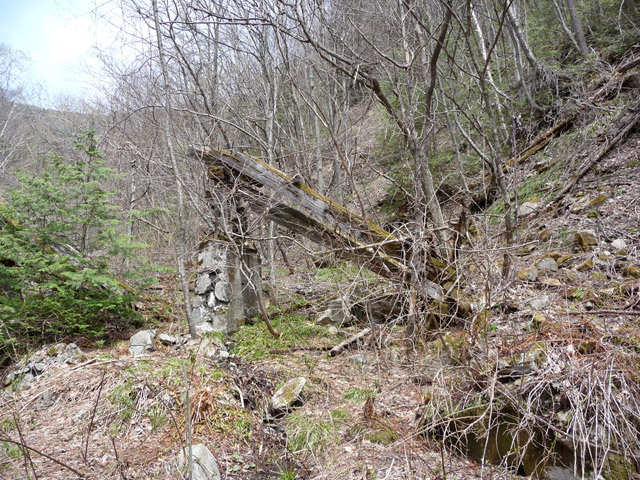 �����X�ѓS��������,�p����,�ѓS,�؋�,��2���T�r�򋴗�,�a��