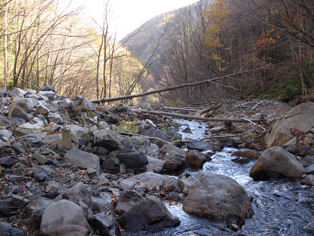 �����X�ѓS��������,�p����,�ѓS,���L��,���T�r��,�ؑc��