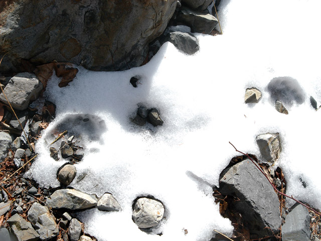 �����X�ѓS��������,�p����,�ѓS,�ؑ]�쌹��,���T�r��,�N�}�̑���