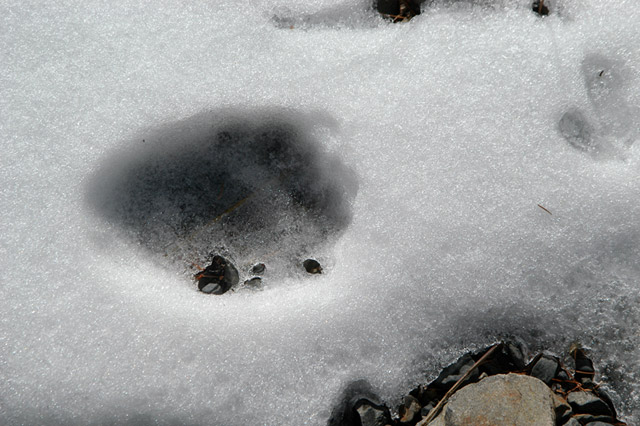 �����X�ѓS��������,�p����,�ѓS,�ؑ]�쌹��,�쐶�����̑���,�c�L�m���O�}�̑���