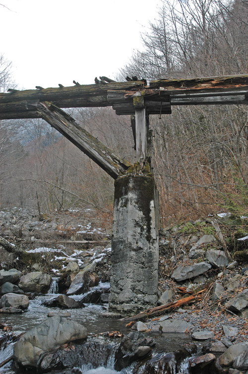 �����X�ѓS��������,�p����,�ѓS,�i���[�O��,��2���T�r�򋴗�,�ؑ�����