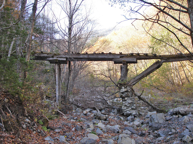 �����X�ѓS��������,�p����,�ѓS,�P��,��2���T�r�򋴗�,�؋�