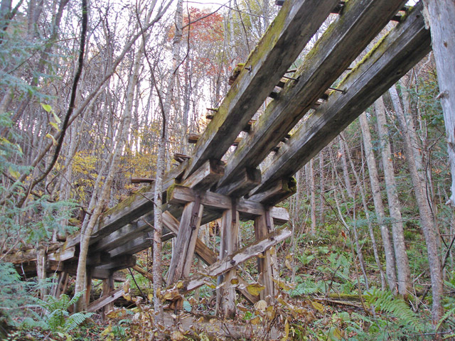 �����X�ѓS��������,�p����,�ѓS,�P��,��2���T�r�򋴗�,�؋�