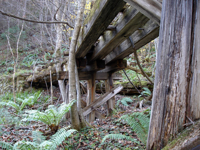 �����X�ѓS��������,�p����,�ѓS,�ؑc��,��2���T�r�򋴗�,�؋�