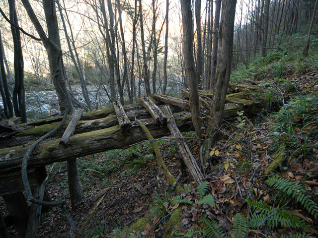 �����X�ѓS��������,�p����,�ѓS,�P��,��2���T�r�򋴗�,�؋�,����