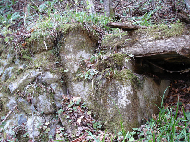 �����X�ѓS��������,�p����,�ѓS,�c�я��O����,��2���T�r�򋴗�,�؋�,����