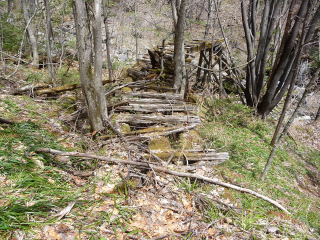 �����X�ѓS��������,�p����,�ѓS,���L�ыO����,��2���T�r�򋴗�,�؋�,�ؑc��