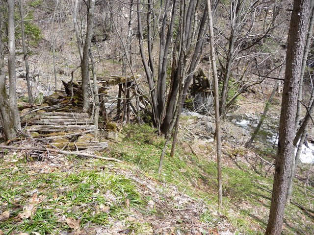 �����X�ѓS��������,�p����,�ѓS,�؍މ^���O����,��2���T�r�򋴗�,�؋�,�ؑ]�쌹��