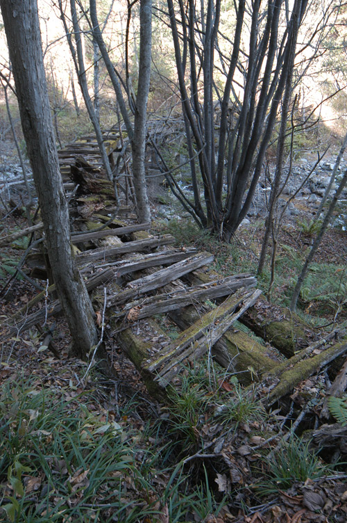 �����X�ѓS��������,�p����,�ѓS,�؍މ^���O����,��2���T�r�򋴗�,�؋�,�ؑc��