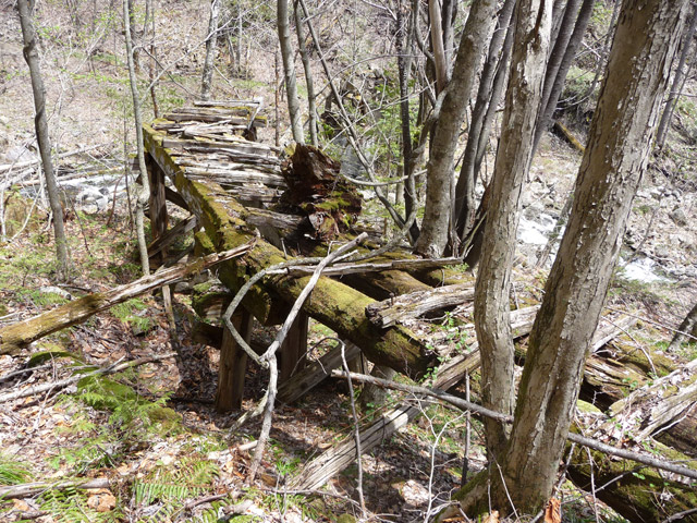 �����X�ѓS��������,�p����,�ѓS,�؍މ^���O����,��2���T�r�򋴗�,�؋�,�ѓ�