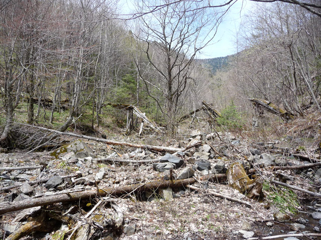 �����X�ѓS��������,�p����,�ѓS,�ؑ]�쌹��,��2���T�r�򋴗�,�؋�