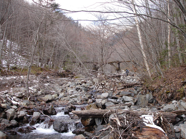 �����X�ѓS��������,�p����,�ѓS,�ؑ]�쌹��,��2���T�r�򋴗�,�؋�