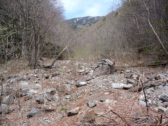 �����X�ѓS��������,�p����,�ѓS,�����R,�q���v��,�ؑ]�쌹��