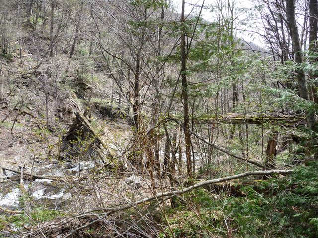 �����X�ѓS��,�p����,�ѓS,���T�r���Ɛ�,�ؑc��,�ؑ]�쌹��