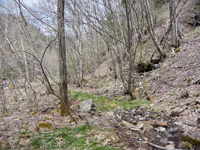 �����X�ѓS��,�p����,�ѓS,���T�r���ƋO��,�ؑc��,�����c�я�