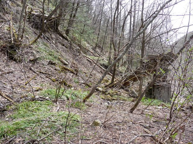 �����X�ѓS��,�p����,�ѓS,���T�r���Ɛ�,�؍މ^���O����,�ؑc��