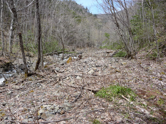 �����X�ѓS��,�p����,�ѓS,��Ɛ�,�؍މ^���O����,���T�r��