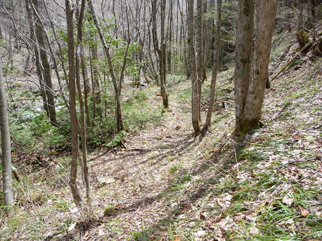 �����X�ѓS��,�p����,�ѓS,�R��,�����c�я�,���T�r��E��,���a