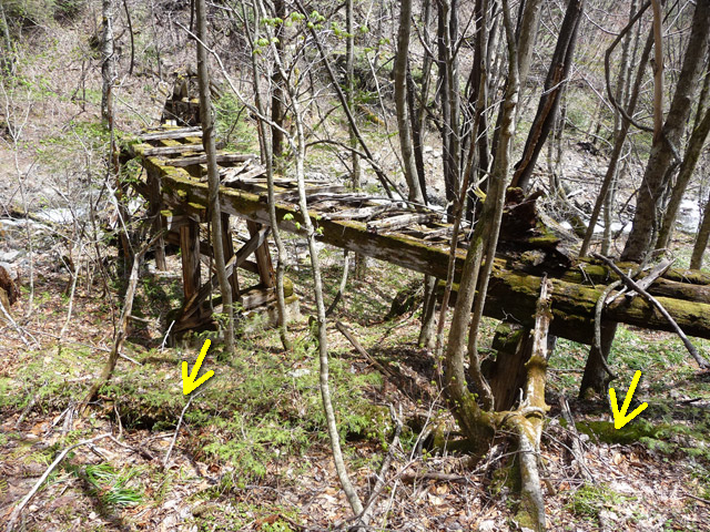 �����X�ѓS��,�p����,�ѓS,��񃏃T�r�򋴗�,�����c�я�,�،�