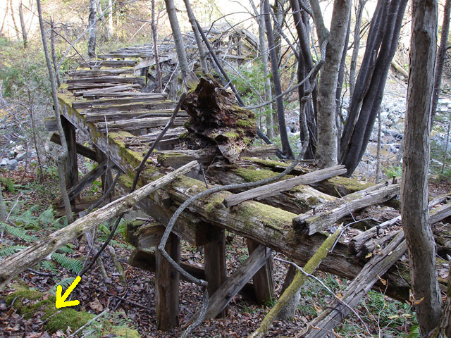 �ؑ]�X�ѓS��������,�p����,�ѓS,��񃏃T�r�򋴗�,�����c�я�,�包