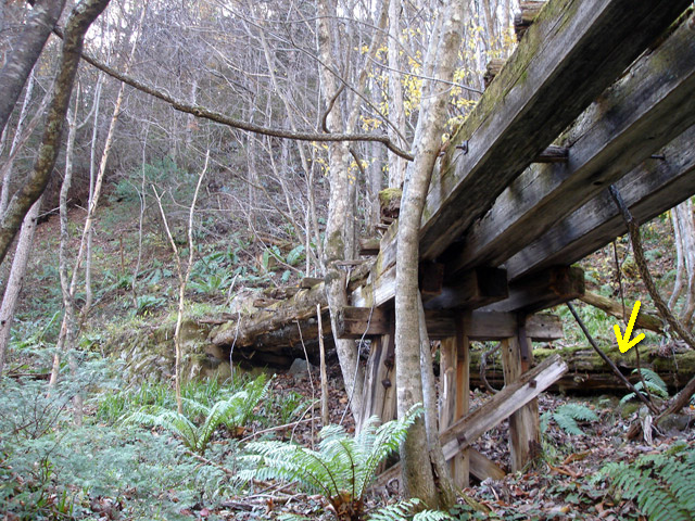 �ؑ]�X�ѓS��������,�p����,�ѓS,��񃏃T�r�򋴗�,�����c�я�,�包