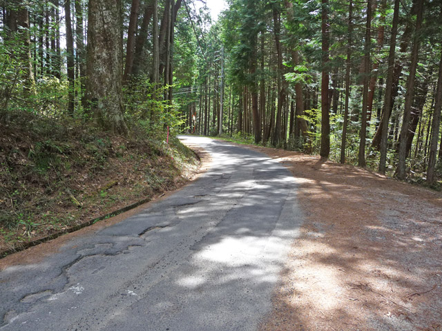 �ؑ]�X�ѓS���ɓސ��,�ѓS,�p����,����򋴗�,�Ȑ�,����