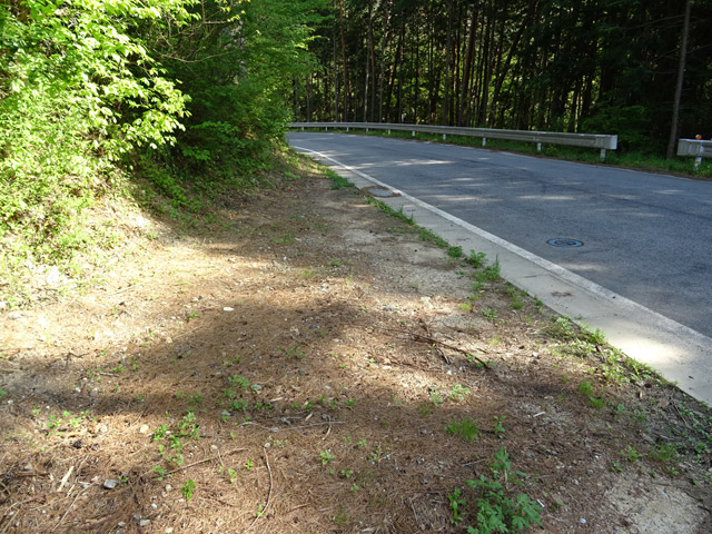 �ؑ]�X�ѓS���ɓސ��,�ѓS,�p����,����򋴗�,�Δ�ʐ^,��r�摜