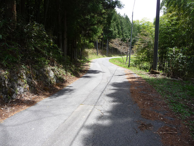 �ؑ]�X�ѓS���ɓސ��,�ѓS,�p����,�؍މ^���O����,�H��,��K��