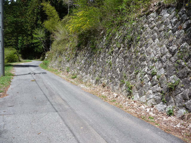 �ؑ]�X�ѓS���ɓސ��,�ѓS,�p����,�c�я��O����,�ԓ���,�Ί_