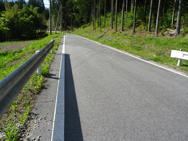 �ؑ]�X�ѓS���ɓސ��,�ѓS,�p����,��o��ԏ�,�i���[�O����,����