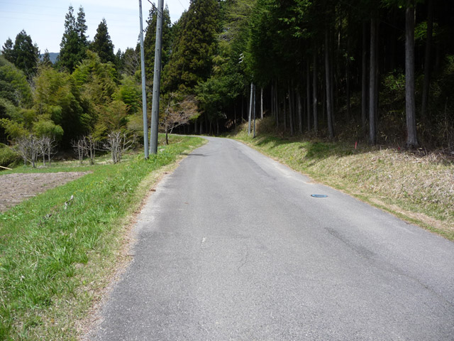 �ؑ]�X�ѓS���ɓސ��,�ѓS,�p����,��o��ԏ�,�ɓސ�ѓ�,���_