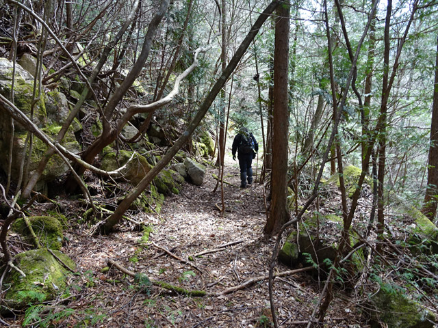 �ؑ]�X�ѓS���k���,�ѓS,�p����,�؍މ^���O����,����,����c�ы�