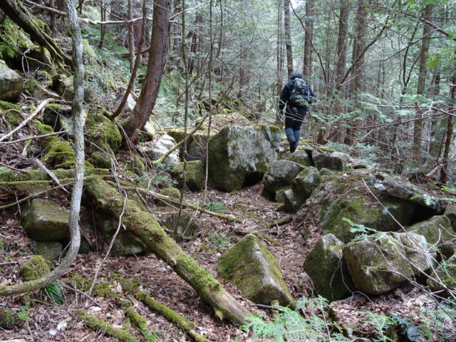 �ؑ]�X�ѓS���k���,�ѓS,�p����,�їp�O����,��K�c�я�,2����