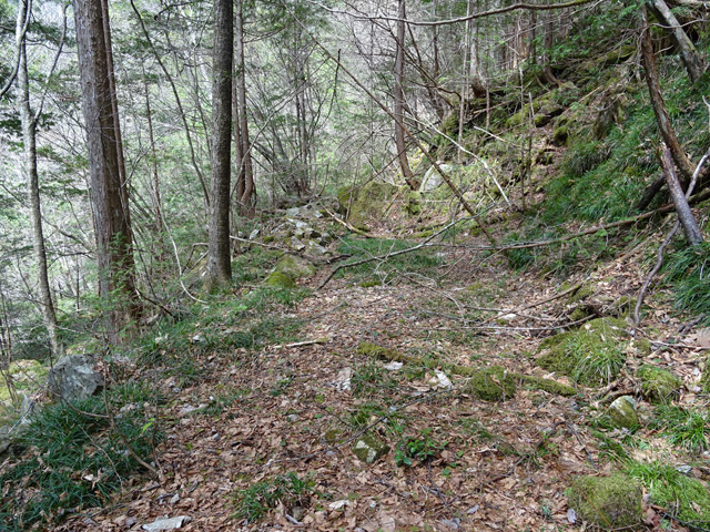 �ؑ]�X�ѓS���k���,�ѓS,�p����,�їp�O����,�H��,�ѓ�