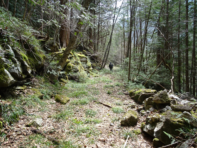 �k��ѓS,�X�ѓS��,�p����,�i���[�O����,�H��,�ѓ�