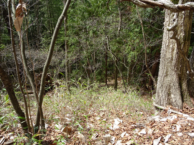 �k��ѓS,�X�ѓS��,�p����,�؍މ^���O����,�����k�J,��K�c�я�