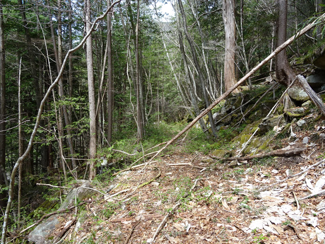 �k��ѓS,�X�ѓS��,�p����,�їp�O����,�����k�J,��K�c�я�