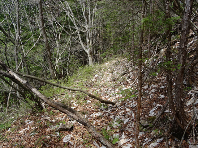 �k��ѓS,�X�ѓS��,�p����,�їp�O����,����,��K�c�я�