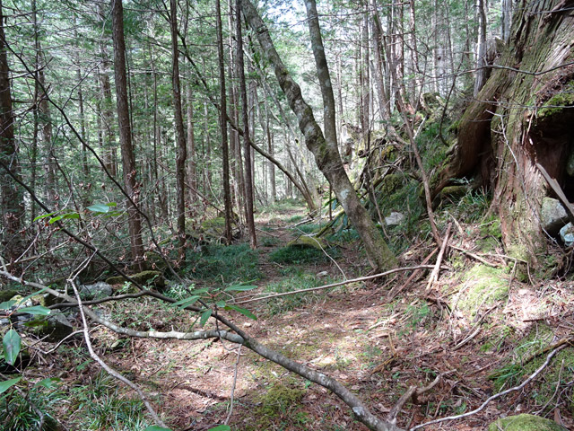 �k��X�ѓS��,�ѓS,�p����,�c�я��O����,��K��,�ѓ�