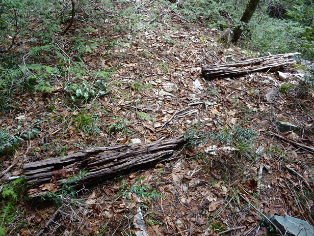 �k��X�ѓS��,�ѓS,�p����,�i���[�O����,����,����